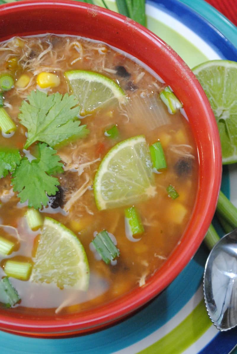 Slow Cooker Spanish Lime Soup