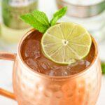Moscow Mule Feature Photo