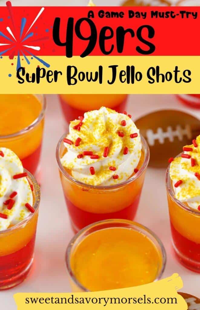 49ers Super Bowl Jello Shots Pin