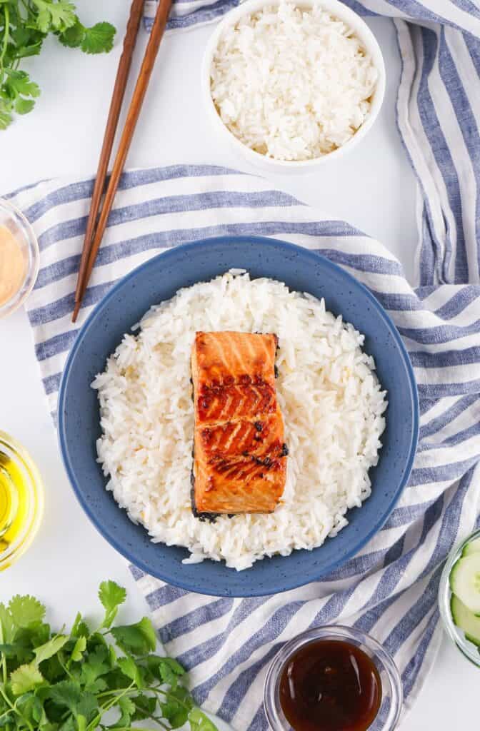 Nestle 1 Salmon Filet in Middle of Rice