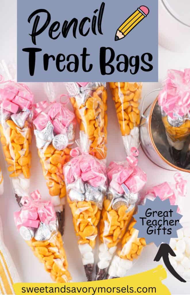 Pencil Treat Bags Pin