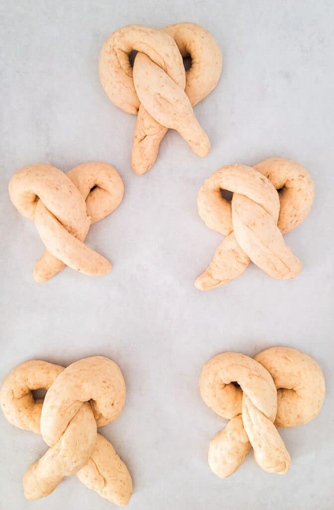 Sourdough Discharge Pretzels