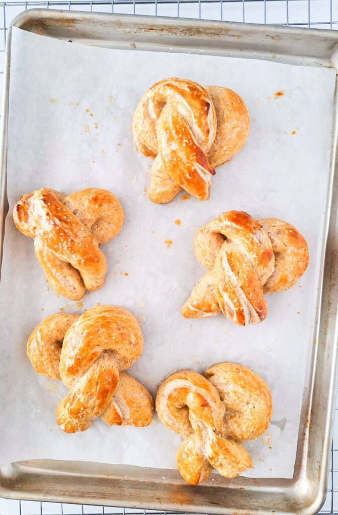 Sourdough Discharge Pretzels