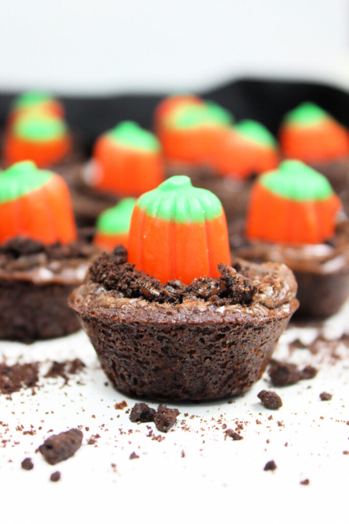 Easy Pumpkin Patch Brownies Recipe - Mini Halloween Treats (OMG So Cute!) 10 Mini Halloween brownies are topped with crumbled cookies and orange pumpkin-shaped candy, creating festive pumpkin patch brownies arranged on a white surface.